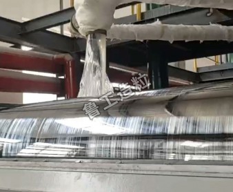 高粘度物料結片項目